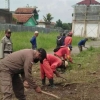 Tim Gober Giat Bersihkan Rumput Liar di Wilayah Kelurahan Cisaranten Kidul