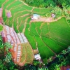 Bangkitkan Perekonomian Indonesia Melalui Desa Wisata Berbasis Kekhasan Lokal