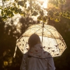 Cerpen: Sebuah Kisah yang Disembunyikan Hujan