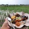 Kampung Mulyaharja, Sensasi Makan di Tengah Sawah