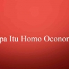 Apa Itu Homo Oeconomicus (1)