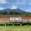Pesona Menjanjikan Indahnya Bentang Sawah Organik Desa Wisata Mulyaharja Bogor