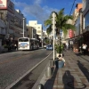 Agu, Babi Berkacamata, dan Pepaya Harga Jutaan Rupiah di Okinawa