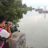 Nasib Tragis Ikan Bilih Danau Singkarak
