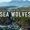 Serial Dokumenter Netflix "Island of The Sea Wolves", Sajikan Kisah Kehidupan Alam Liar di Pulau Vancouver
