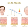 Ekstrak Plasenta Sapi Bisa Mengatasi Skin Aging?