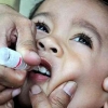 Fungsi Tepat Layanan Posyandu dan Deteksi Dini Sebaran Polio di Indonesia