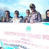Dinas Perikanan Pinrang Restocking 100 Ribu Ekor Benih Udang Windu