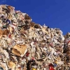 Problem Akut Kebersihan Pasar Induk dan Harapan Indonesia Bersih Sampah 2025
