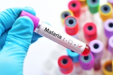 Melawan Malaria dari Batas Negeri