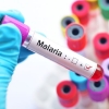 Melawan Malaria dari Batas Negeri
