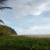 Kekayaan Alam yang Terpendam: Potensi Pesisir Pantai Dlodo Kabupaten Tulungagung