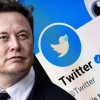 Suara Kebencian Meningkat secara Drastis di Twitter setelah Elon Musk Mengambil Alih
