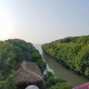 Ekowisata sebagai Tonggak Pemberdayaan Mayarakat Pesisir : Hutan Mangrove Pandansari, Brebes