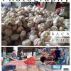 Mengenal Pasar Tradisional Aceh Besar