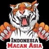 Menanti Auman (Timnas Indonesia) Macan Asia