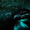 Wisata ke Gua Glowworm Waitomo Selandia Baru, Seakan Melihat Jagat Raya dalam Gua!