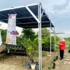 Perancangan Greenhouse Sebagai Tempat Pembibitan Tanaman Kelengkeng di Wisata Kampung Kelengkeng Simoketawang