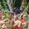 Nikah Tembakau sebagai Pelestraian Budaya di Magelang Jawa Tengah