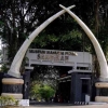 Intip Keseruan Magang di Museum Manusia Purba Terbesar di Indonesia
