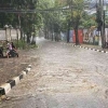 Hujan Ekstrem di Jakarta, di Antara WFH dan DPR