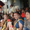 Peran Sopi dalam Relasi Sosial Masyarakat Timor Barat