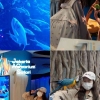 Aquarium dan Safari dalam Mall? Makin Next Level