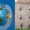 Green Wall (Tanaman Vertikal) Solusi Alternatif Perubahan Iklim