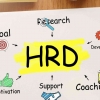 HRD Peran dan Tanggung Jawabnya Dalam Sebuah Organisasi Perusahaan yang Banyak Belum Dipahami