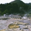 Menelusuri Jejak Bakteri Toleran Panas Asal Kawasan Geotermal Indonesia