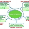 Postbiotik dan Parabiotik Pangan Fungsional "Teman Baik" Probiotik