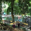 Menghirup Kenyamanan di Kebun Binatang Siantar