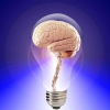 Tingkatkan Kesehatan Otak dan Daya Ingat: Panduan Lengkap agar Hidup Lebih Sehat, Produktif dan Hebat