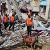 Mitigasi Bencana: Upaya Penting untuk Menjaga Keberlangsungan Hidup di Indonesia