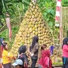 Kenduri Durian Suluk, Promosi Wisata Kampung Durian