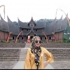Yuk... Mengintip Tempat Wisata yang Romantis di Sumatera Barat