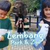 Serunya Liburan dan Main Binatang Langsung di Lembang Park & Zoo