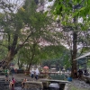 Ekowisata Permandian Mata Air yang Wajib Dikunjungi Ketika Berada di Salatiga, Jawa Tengah