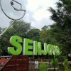 Ekowisata Senjoyo: Menikmati Keindahan Alam Mata Air Senjoyo