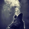 Serigala Tak Pernah Melolong