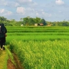 KKN UPI 2023: Potensi Desa Wantilan sebagai Rintisan Wisata Edukasi Agro-Industri