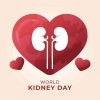 What Should You Know about Chronic Kidney Disease and How to Keep Your Kidneys Healthy