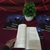 Review Novel Menghilang dan Menyilau Karya Vita Zadin