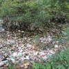 Kerusakan Ekosistem Sungai karena Sampah