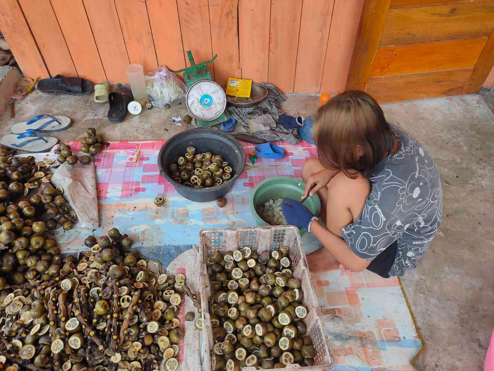 Gadis Kolang-kaling