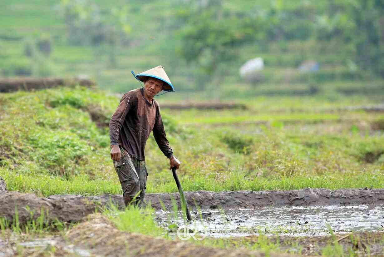 Dahaganya Petani di Bulan Suci Ramadhan