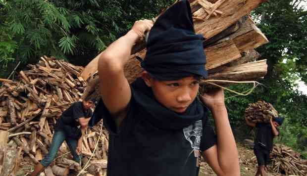 Kenangan Masa Kecil: Menabung Kayu Bakar Menjelang Ramadan