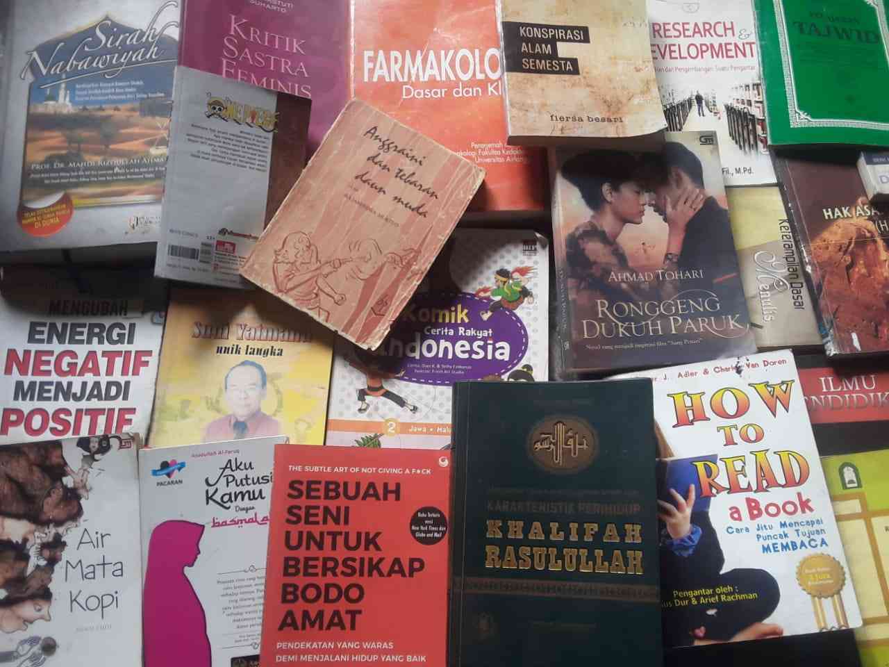 Sinopsis Versi Sendiri dari Koleksi Buku Pribadi