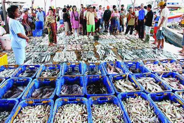 Berburu Ikan Segar di Pelelangan Ikan