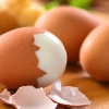 Kenali Cara Mendapatkan Telur yang Baik dan Sehat